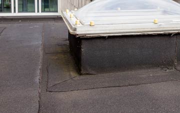 disadvantages of Newton Peveril flat roofs
