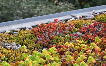 the cost of Newton Peveril green roof installation