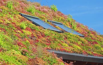 Newton Peveril living roof systems