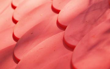 Newton Peveril plastic roof costs