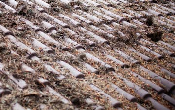 Newton Peveril roof cleaning companies