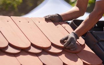 Newton Peveril roof tile contractors