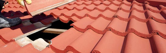 compare Newton Peveril roof repair quotes