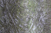 Newton Peveril fibreglass roof work