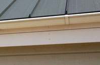 Newton Peveril soffit repair